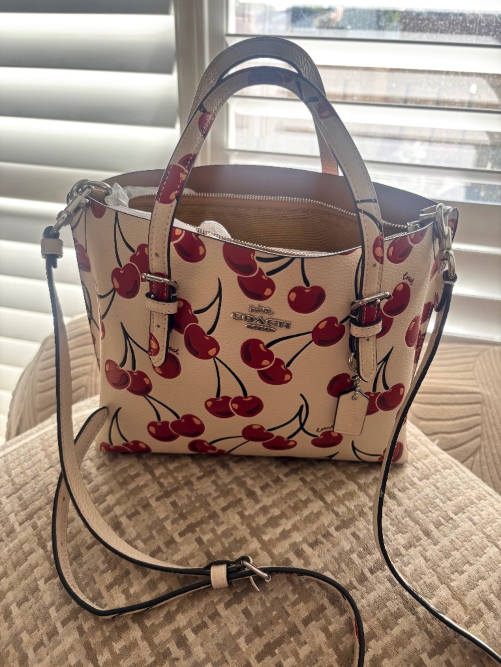 Coach Mollie Tote Bag 25 With Cherry Print